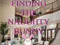 Spil Finding The Naughty Bunny