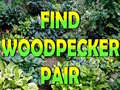 Spil Find Woodpecker Pair 
