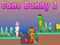 Spil Cano Bunny 2