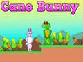 Spil Cano Bunny