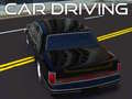 Spil Car Driving