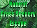 Spil Natural Grass Scenery Escape
