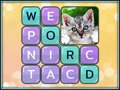 Spil Word Search Pictures