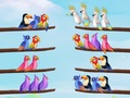 Spil Bird Sort Puzzle
