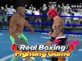 Spil Real Boxing Fighting Game