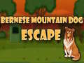 Spil Bernese Mountain Dog Escape