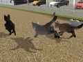 Spil Run Cat Cat Race