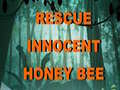 Spil Rescue Innocent Honey Bee 