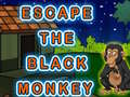 Spil Escape The Black Monkey