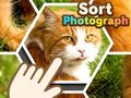 Spil Sort Photograph