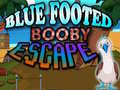 Spil Blue Footed Booby Escape