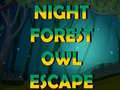 Spil Night Forest Owl Escape