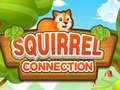 Spil Squirrel Connection