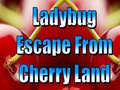 Spil Ladybug Escape From Cherry Land