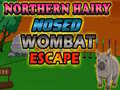 Spil Northern hairy nosed wombat Escape