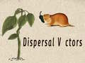 Spil Dispersal Vectors