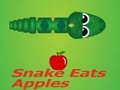 Spil Snake Eats Apple