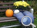 Spil Autumn Garden Find 100 butterflies