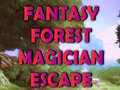 Spil Fantasy Forest Magician Escape