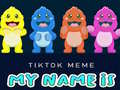 Spil TikTok Meme My Name Is