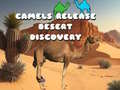 Spil Camels Release Desert Discovery