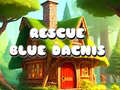 Spil Rescue Blue Dacnis