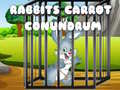 Spil Rabbits Carrot Conundrum