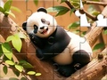 Spil Jigsaw Puzzle: Panda On Tree