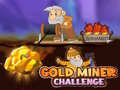 Spil Gold Miner Challenge