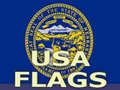 Spil Usa Flags 