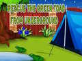 Spil Rescue The Green Toad From Underground