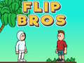 Spil Flip Bros