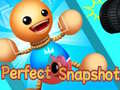 Spil Perfect Snapshot