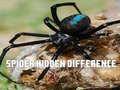 Spil Spider Hidden Difference