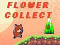 Spil Flower Collect