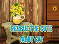 Spil Rescue The Cute Tabby Cat