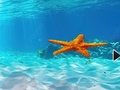 Spil Escape From Underwater Starfish