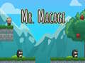 Spil Mr Macagi