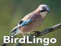 Spil BirdLingo