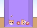 Spil Evolution of Cat Memes