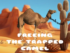 Spil Freeing the Trapped Camel