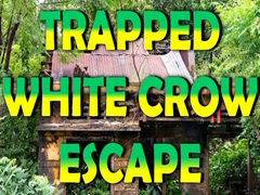 Spil Trapped White Crow Escape