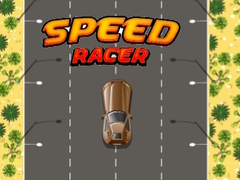 Spil Speed Racer