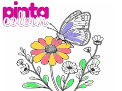 Spil Pinta Colour