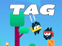 Spil Tag