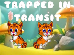 Spil Trapped in Transit