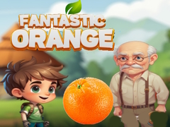 Spil Fantastic Orange