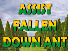 Spil  Assist Fallen Down Ant