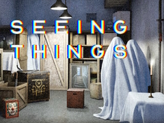 Spil Seeing Things