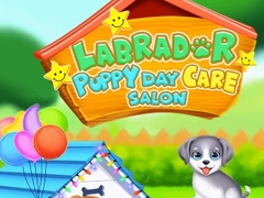 Spil Labrador Puppy Daycare Salon